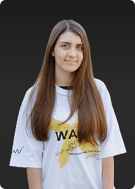 Vlada